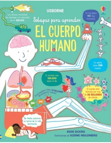 El cuerpo humano (Solapas para aprender)