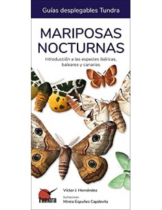 Mariposas nocturnas. Guías...