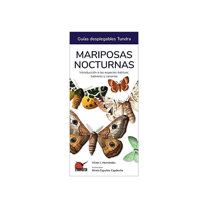 Mariposas nocturnas. Guías desplegables