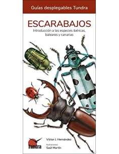 Escarabajos. Guías...