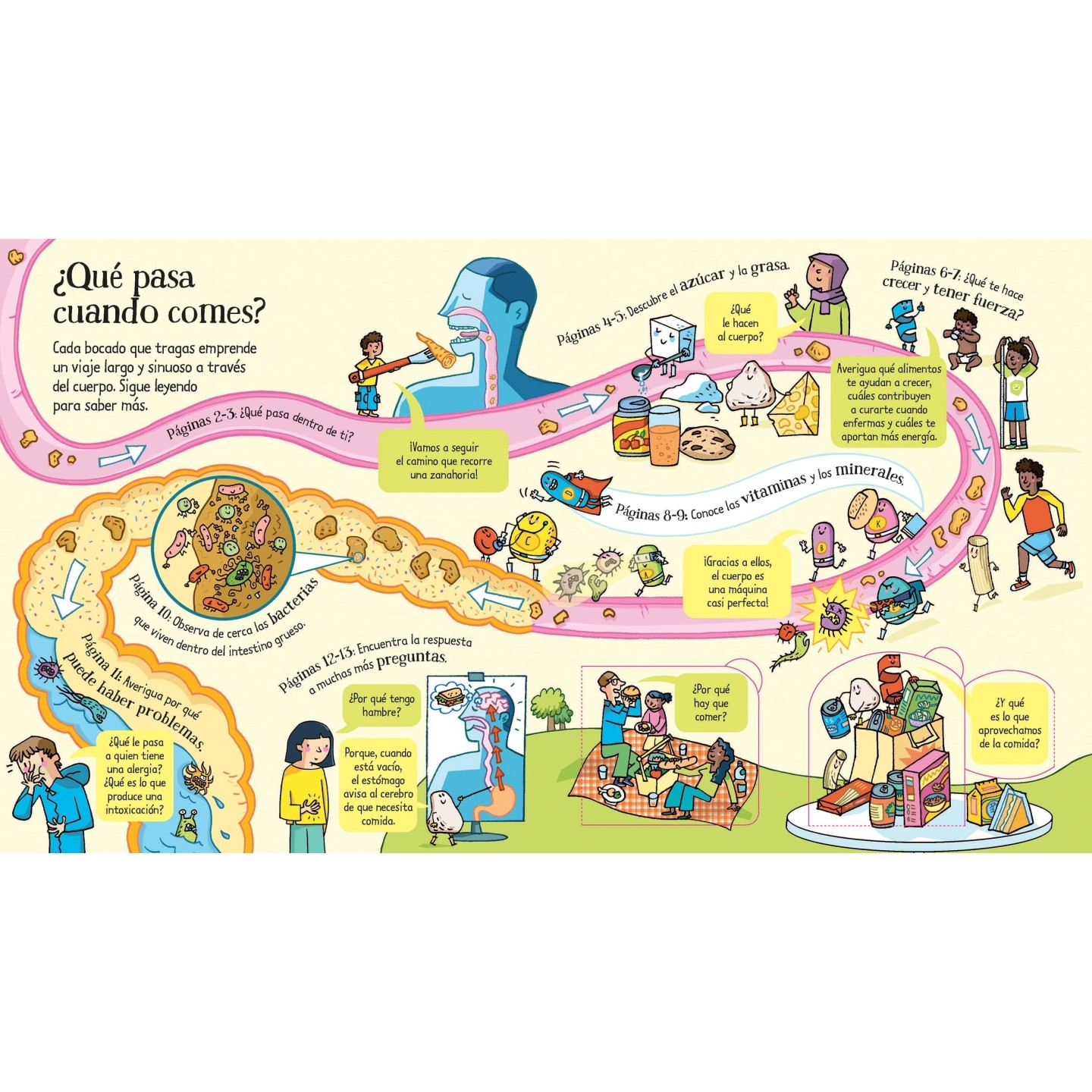 ¿Qué pasa cuando comes?