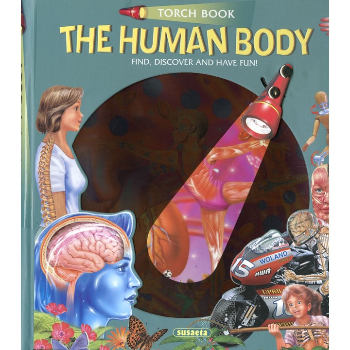 The human body (Lantern Book)