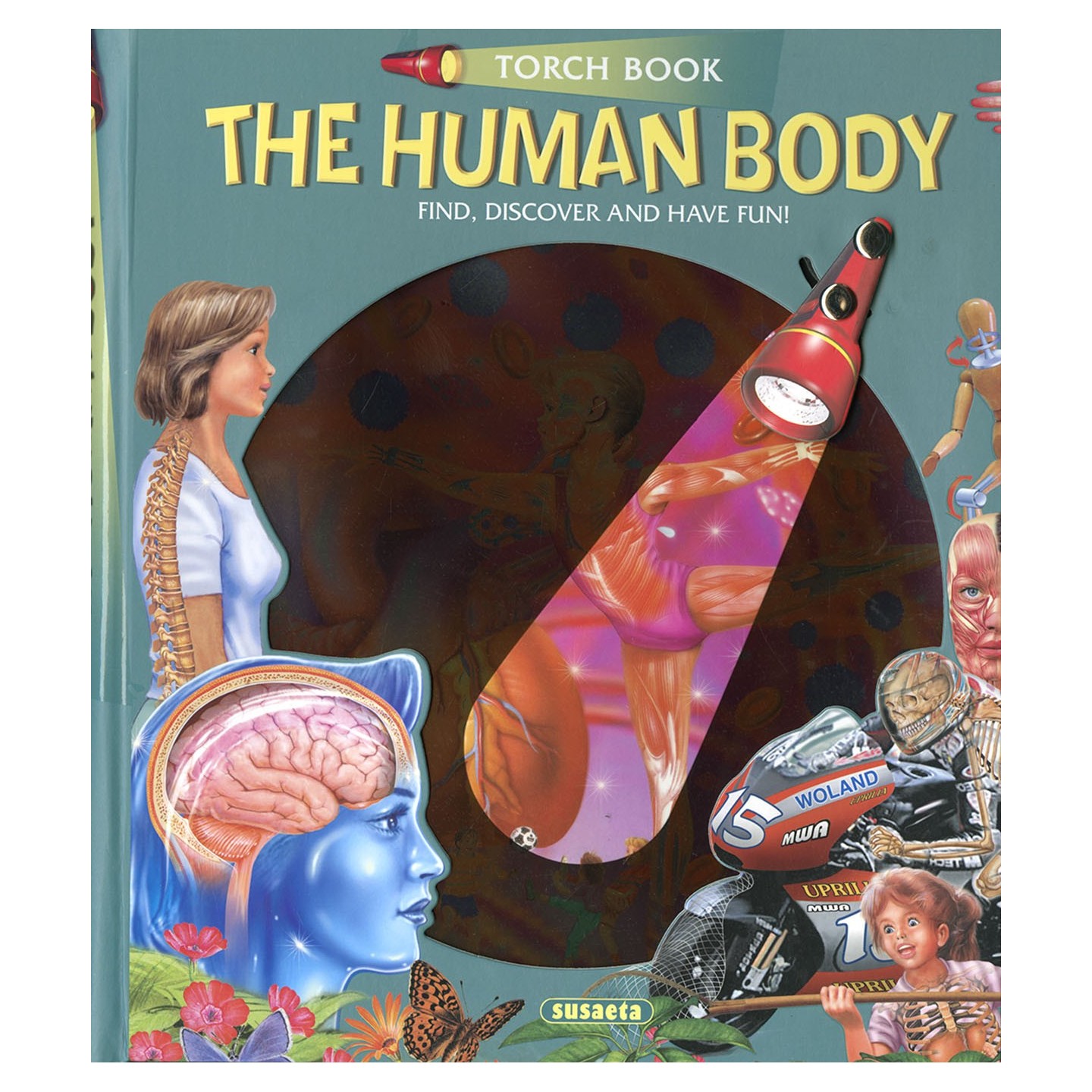 The human body (Lantern Book)