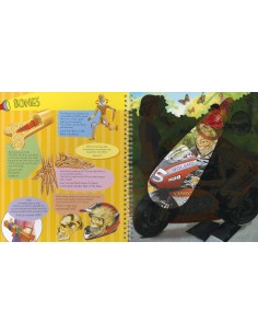 The human body (Lantern Book) 2