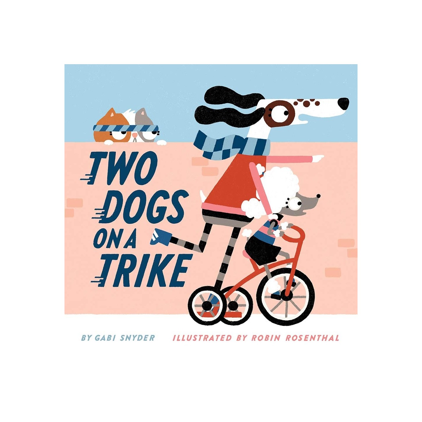 Two Dogs on a Trike