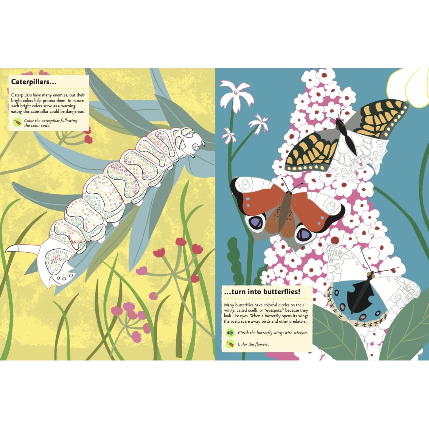Garden Insects and Bugs: My nature sticker Activity Book