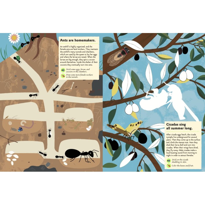 Garden Insects and Bugs: My nature sticker Activity Book