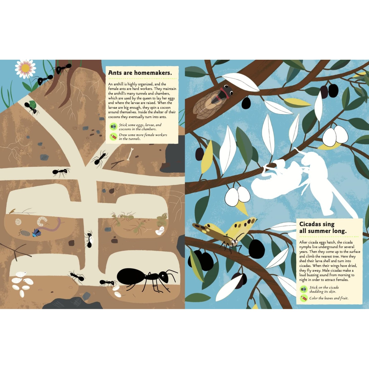 Garden Insects and Bugs: My nature sticker Activity Book