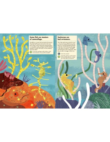 Ocean - Sticker book - Libro de pegatinas