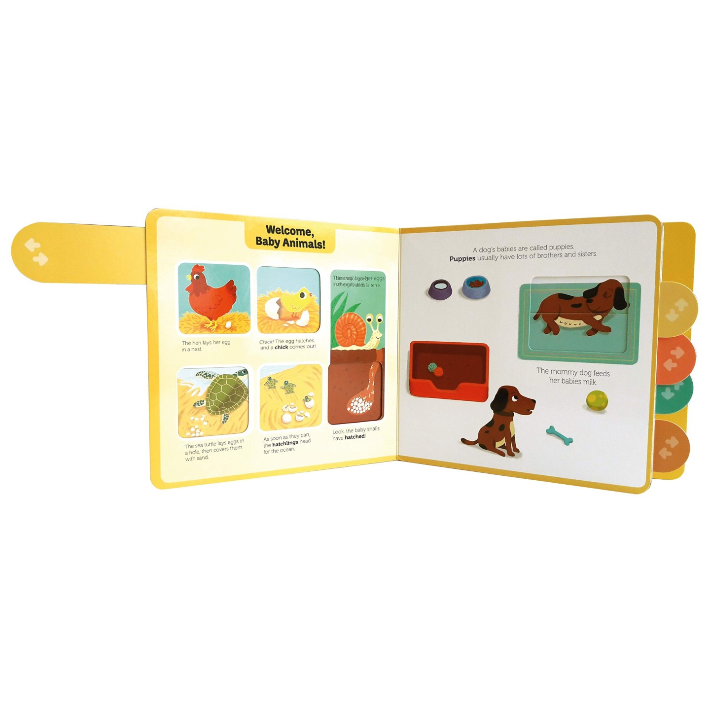 Baby Animals (PlayTabs)