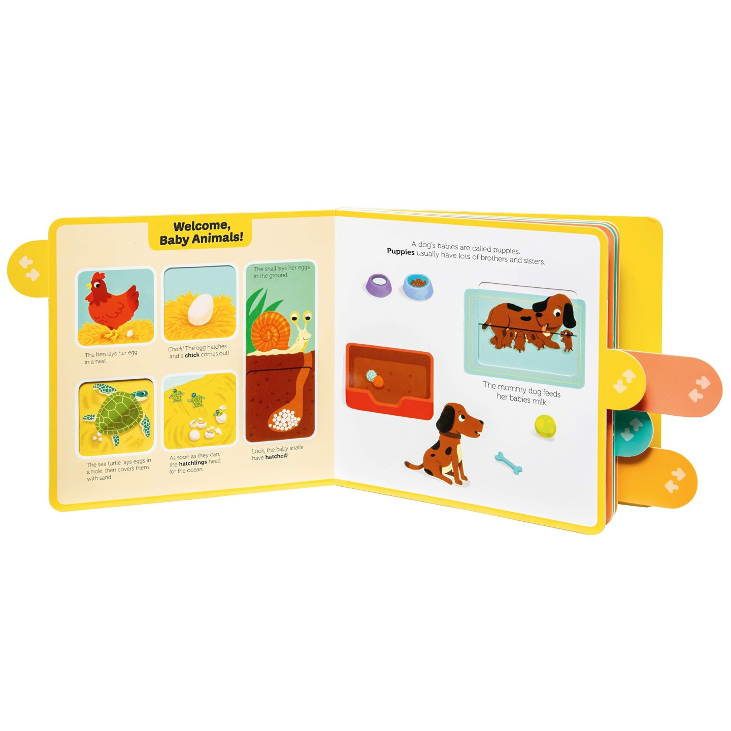 Baby Animals (PlayTabs)