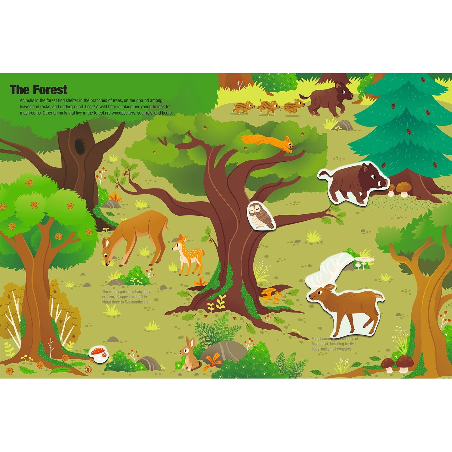 Magnetology: Animals