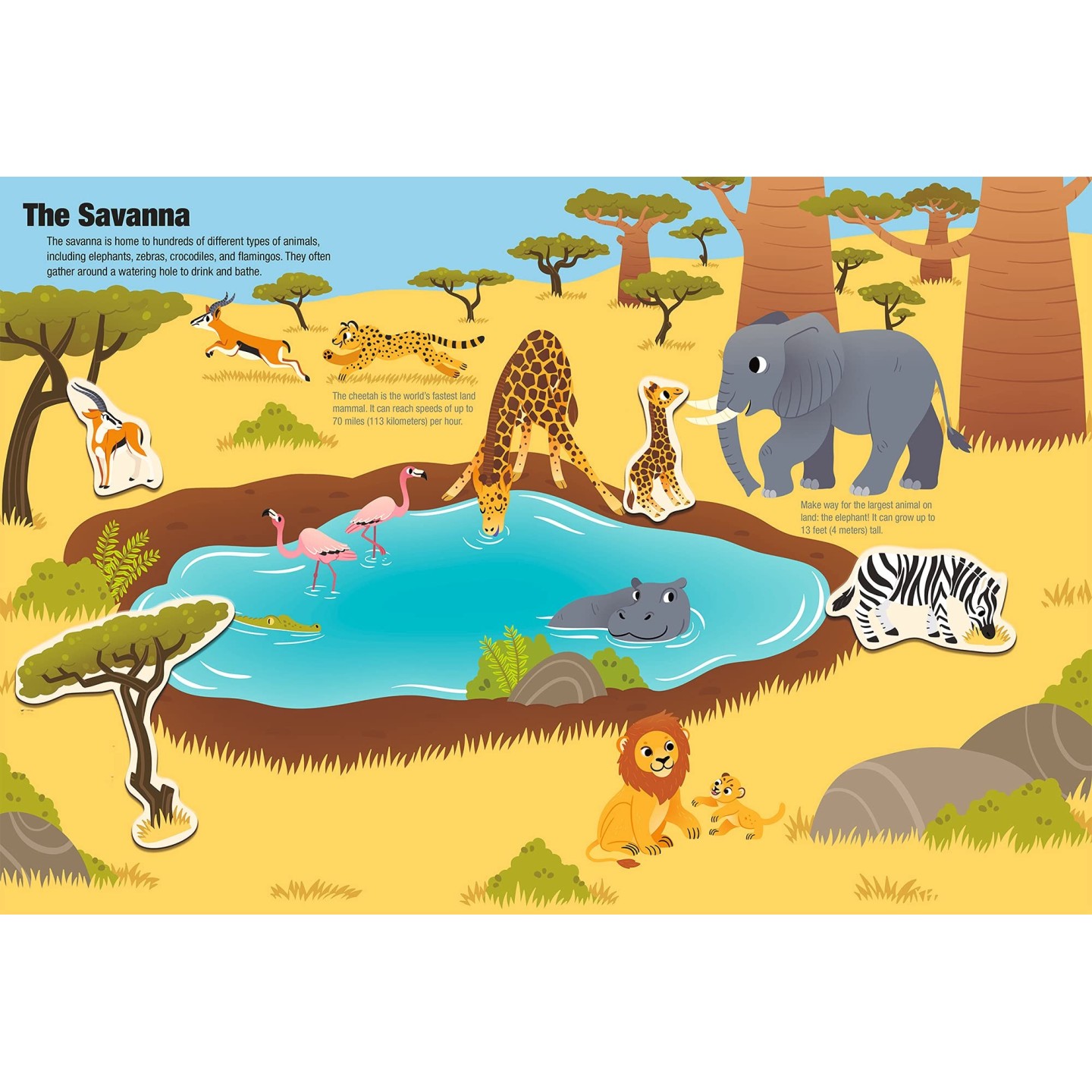 Magnetology: Animals