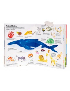 The Ultimate Book of Animals 2