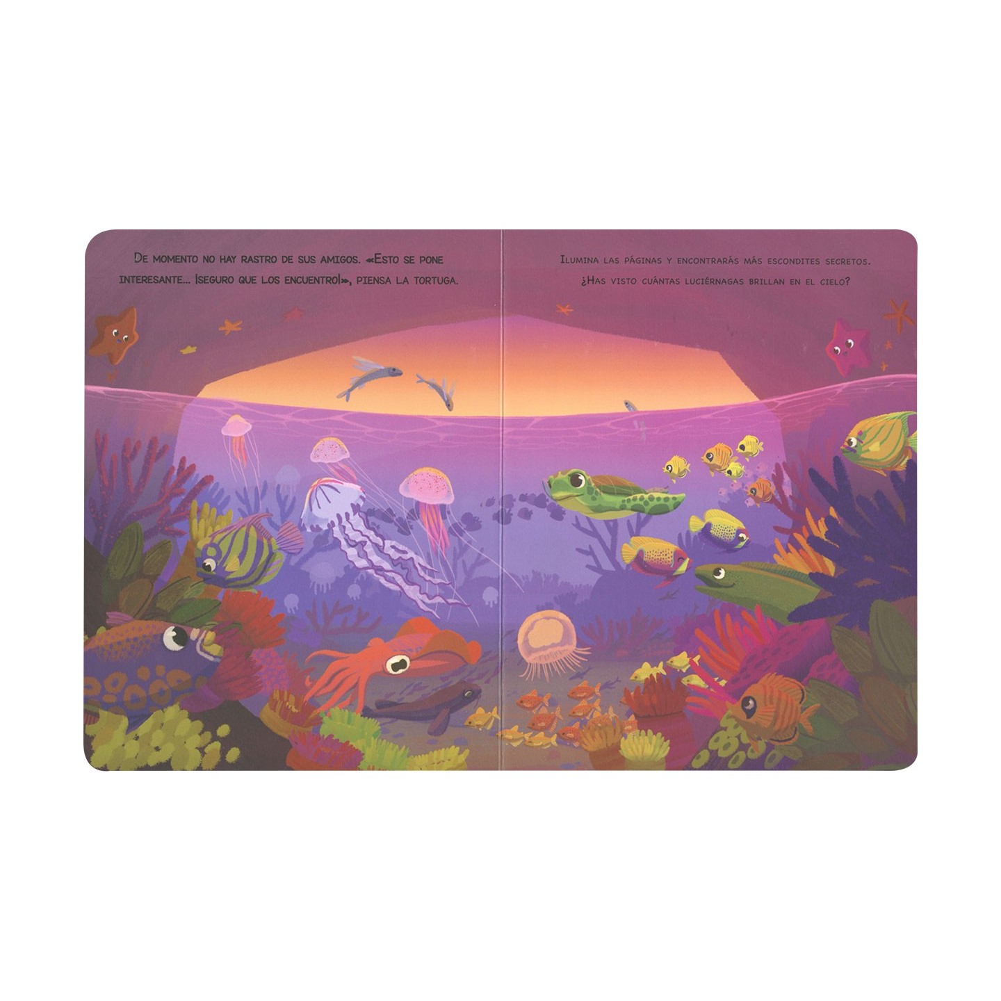 Animales del mar (Ilumina tu cuento)