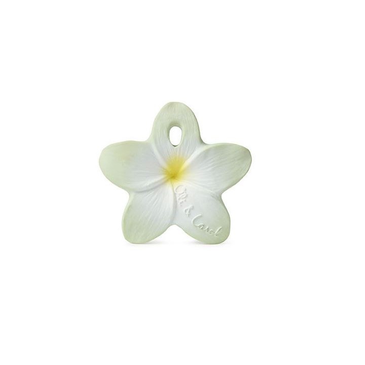 Mordedor Flor de Bali