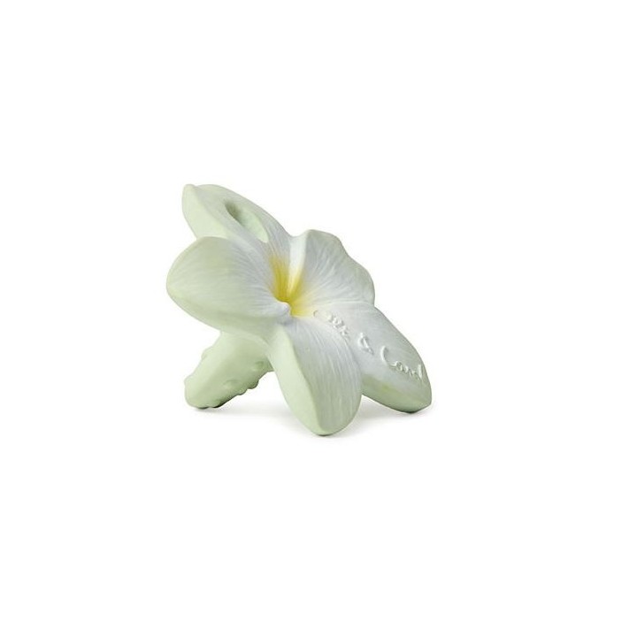Mordedor Flor de Bali