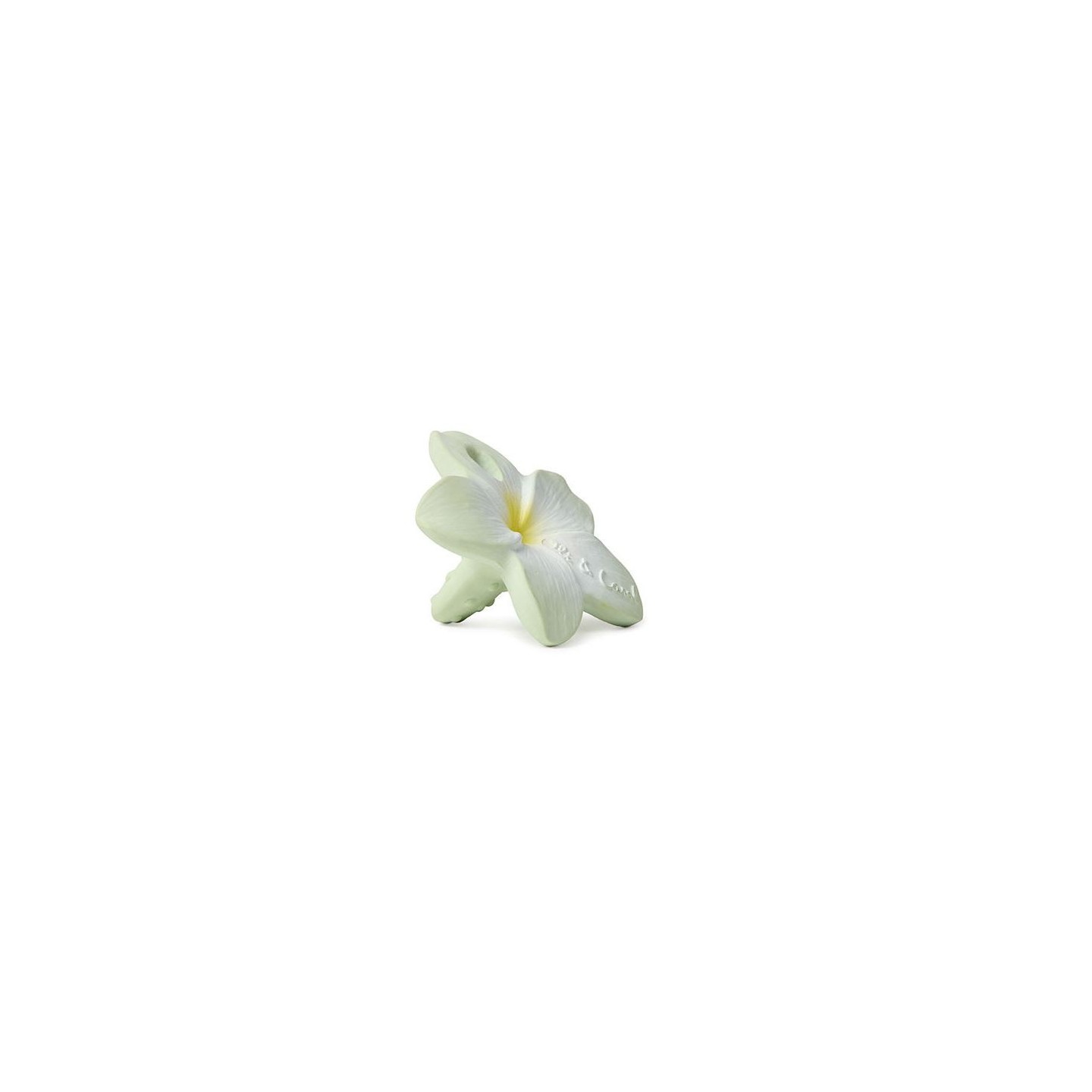 Mordedor Flor de Bali