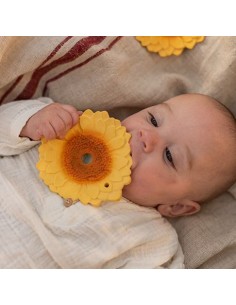 Mordedor Sun el Girasol 2