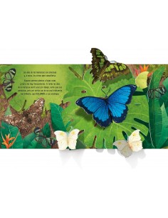Mariposas (Desplegable) 2
