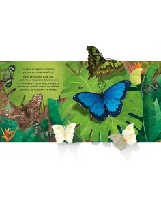 Mariposas (Desplegable) 2