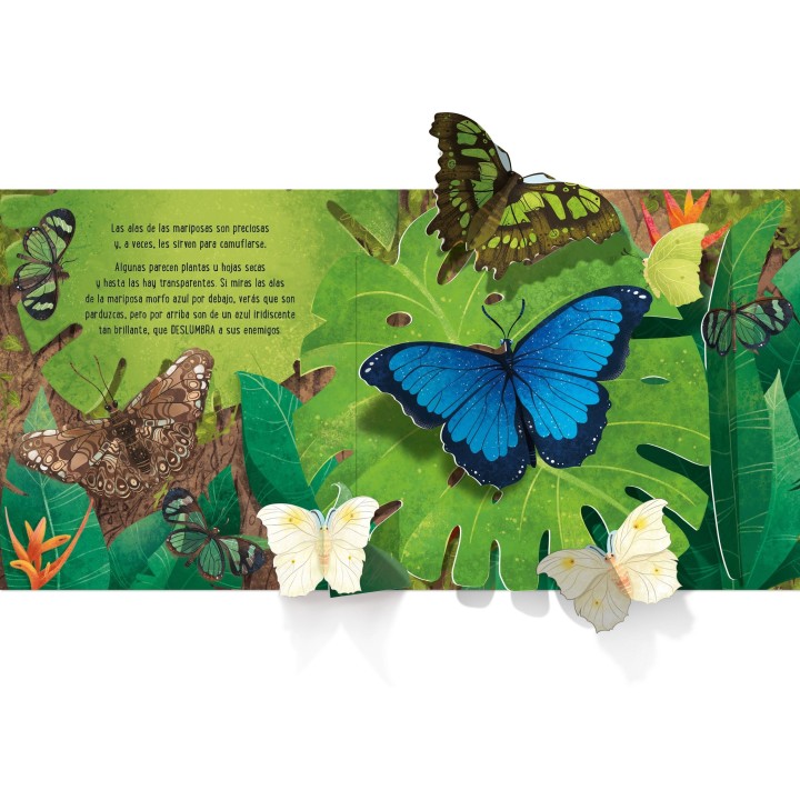 Mariposas (Desplegable)
