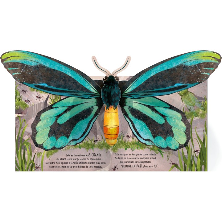 Mariposas (Desplegable)