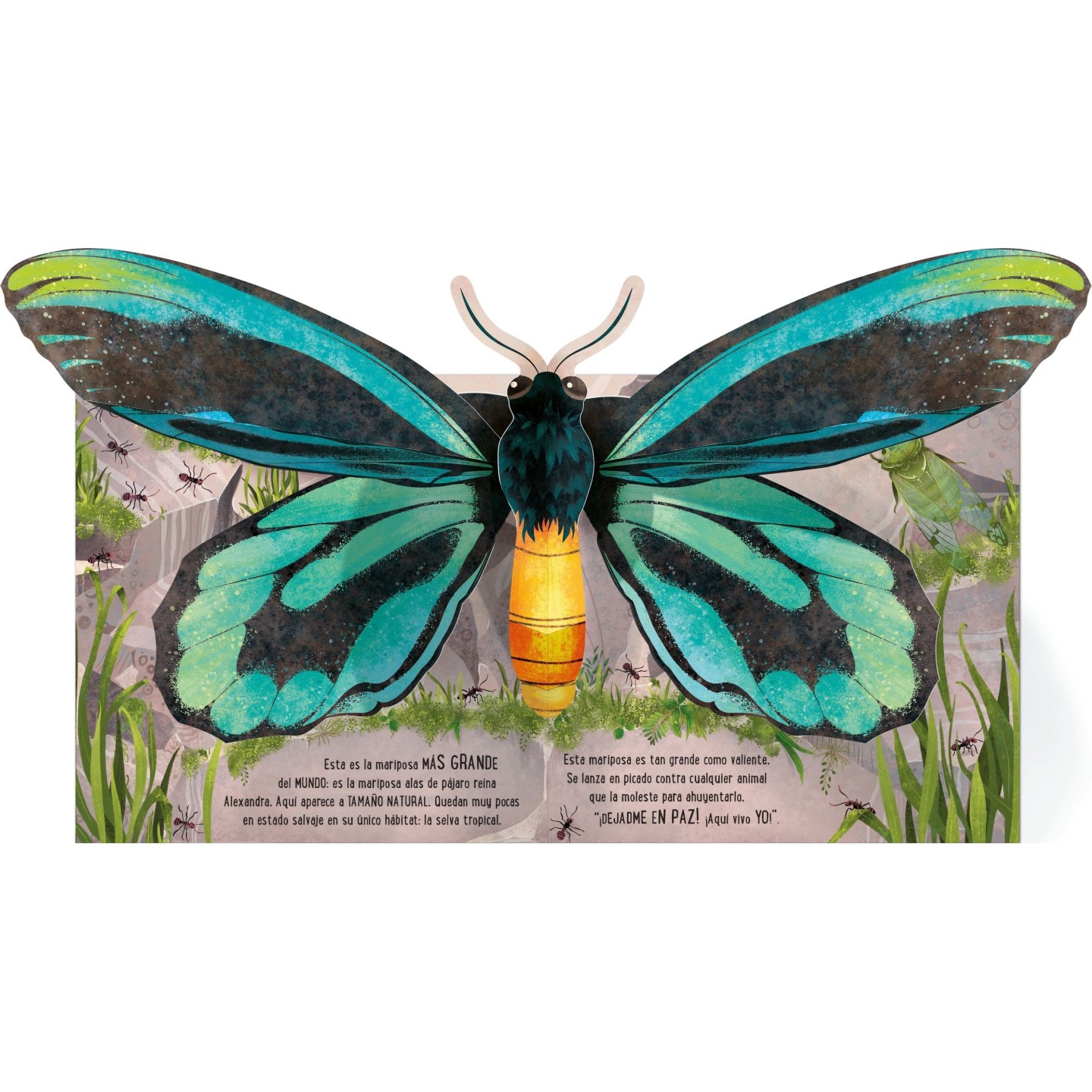 Mariposas (Desplegable)
