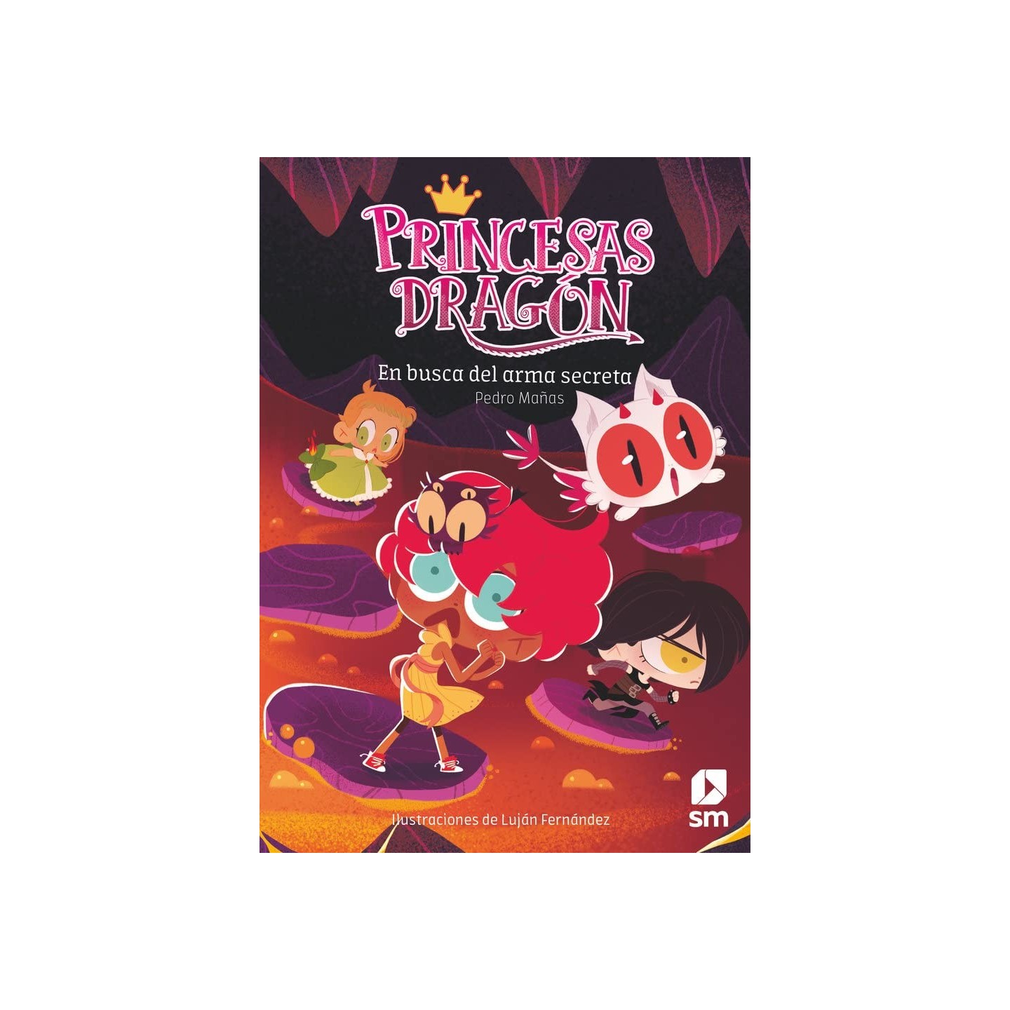 Princesas Dragón 13: En busca del arma secreta