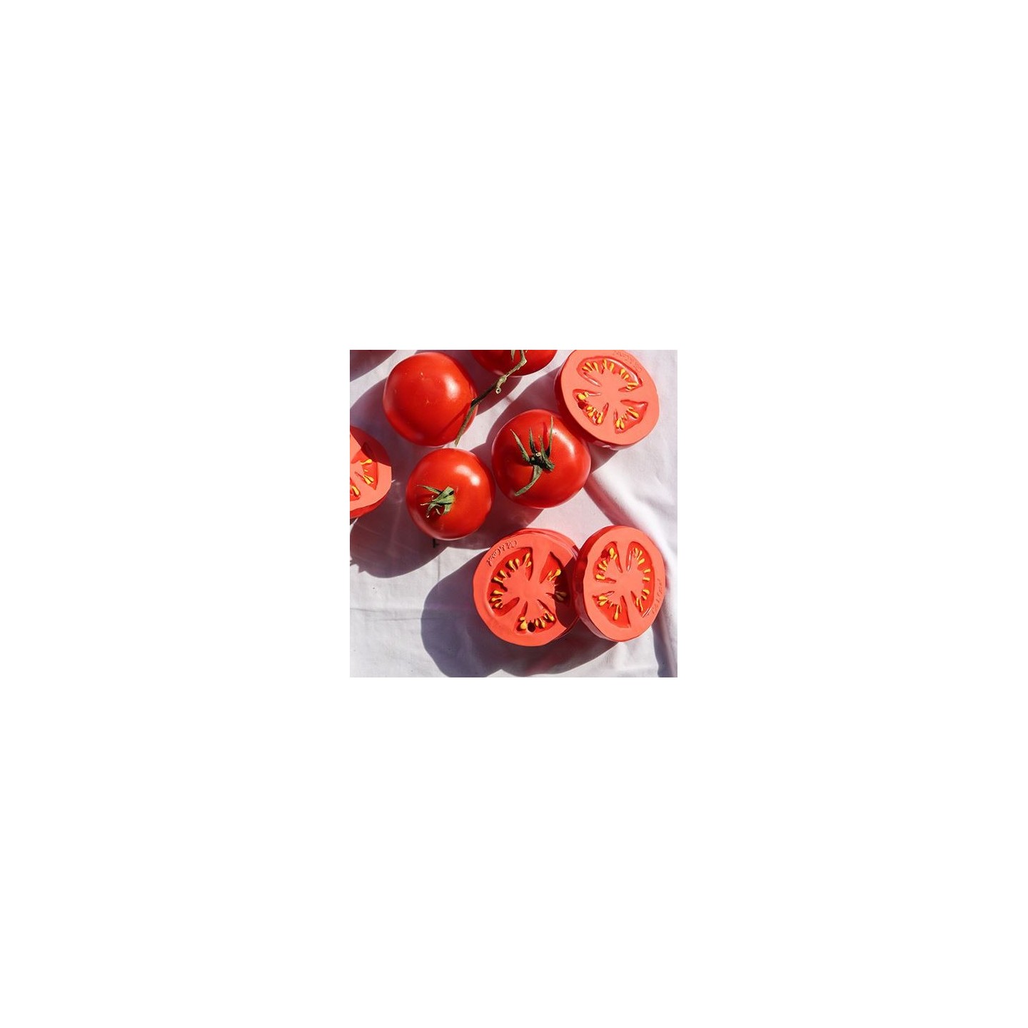 Mordedor Renato the Tomato