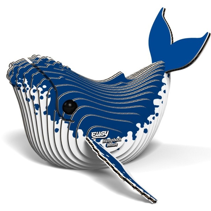 Eugy Ballena