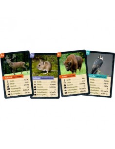 Juego cartas Animales Nature Zoom (En alemán) 2