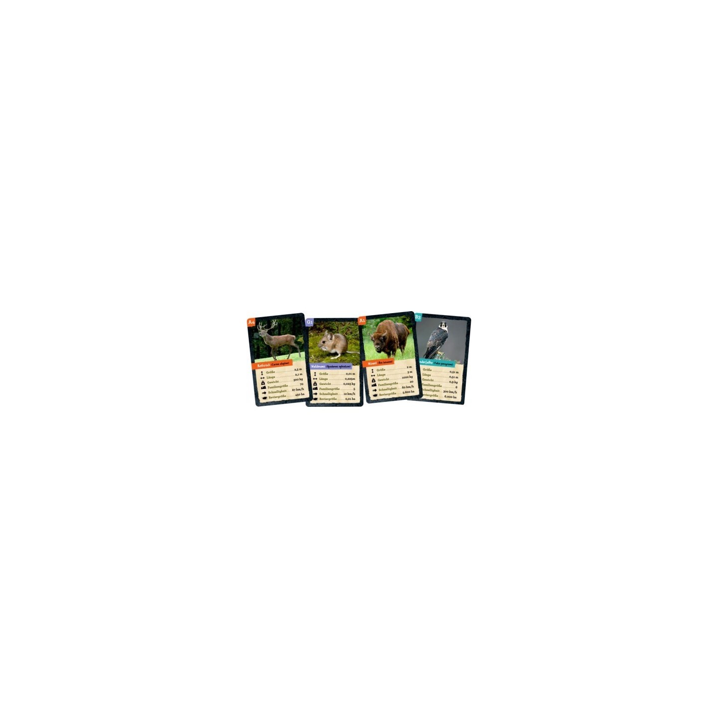 Juego cartas Animales Nature Zoom (En alemán)