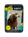 Juegos cartas Aves Nature Zoom (En alemán)
