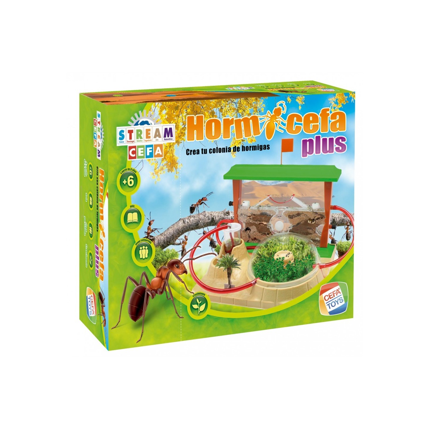 Hormicefa