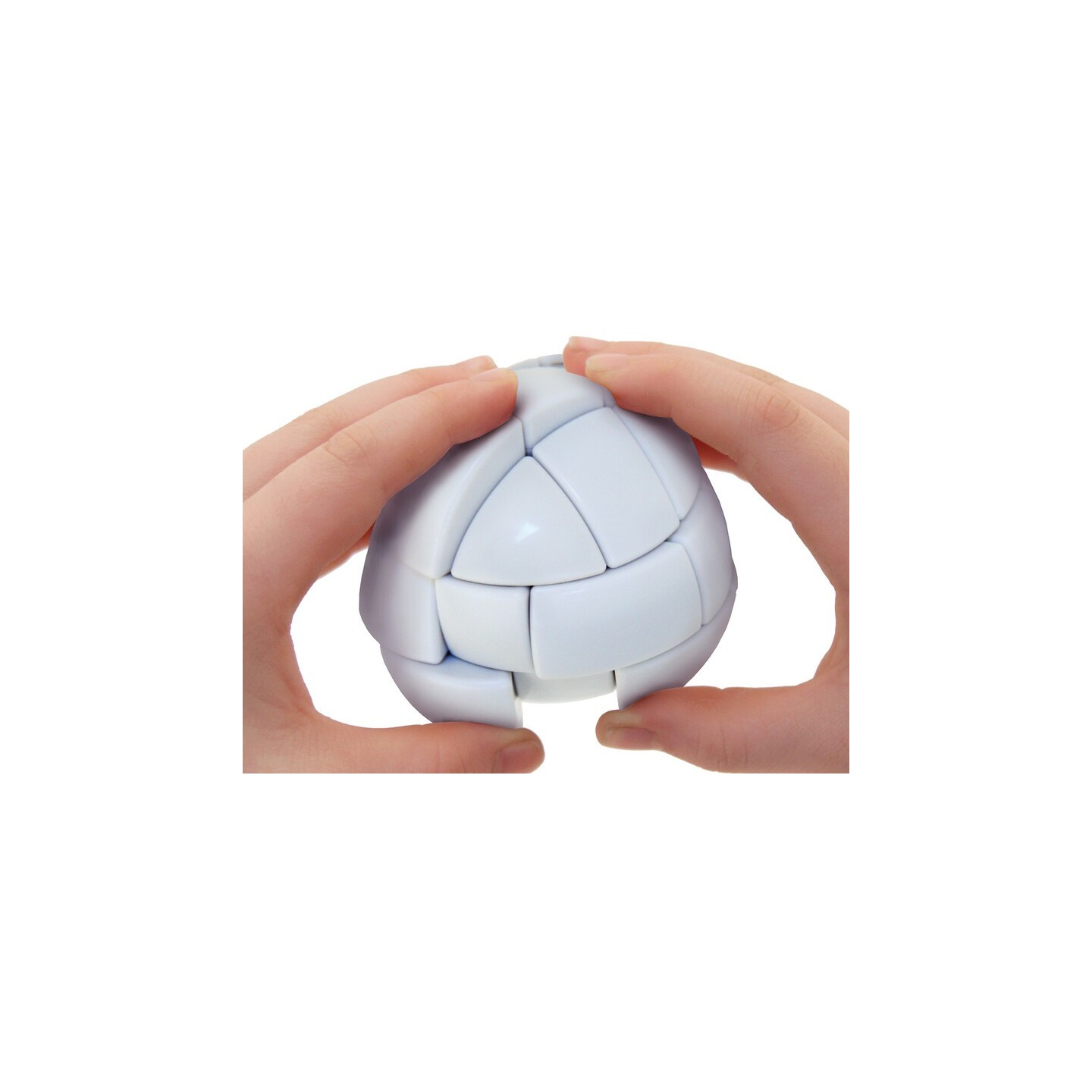 Morph's Egg