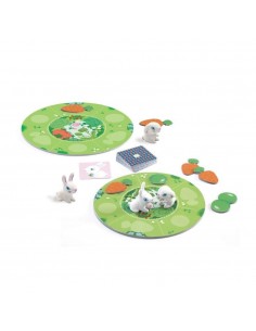 Little Collect 2