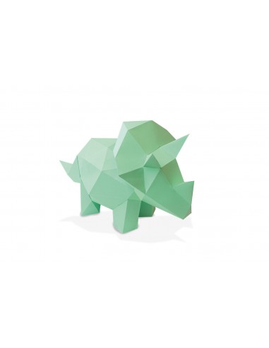 DIY 3D Triceratops Baby