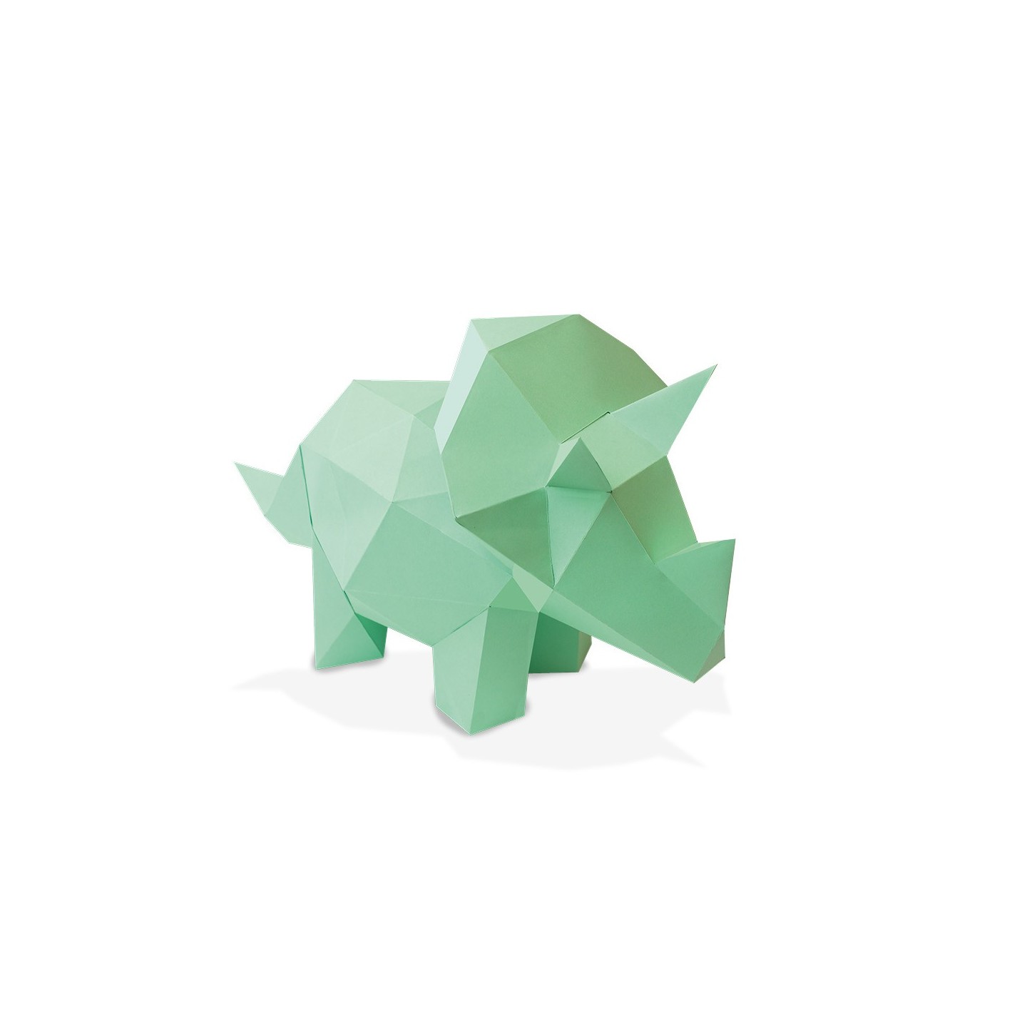 DIY 3D Triceratops Baby