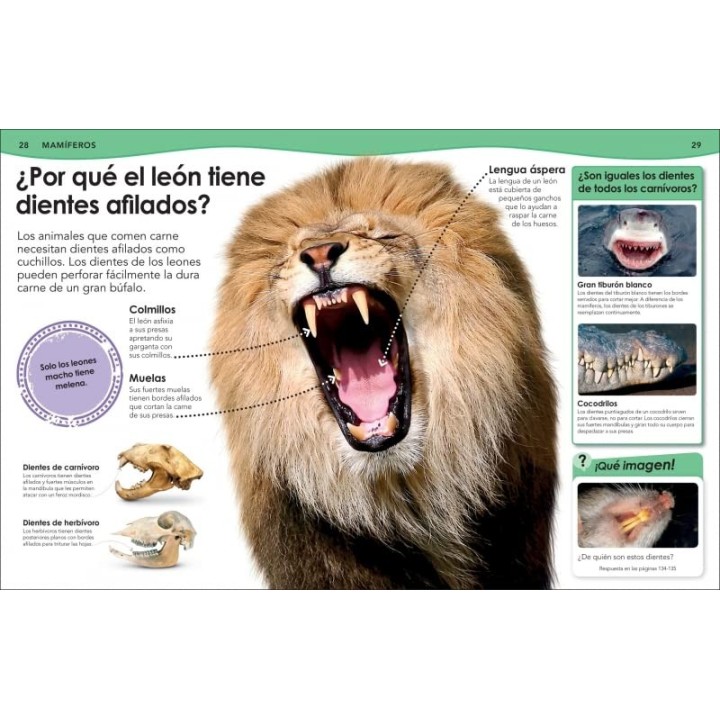¿Sabías qué? Animales: Respuestas geniales a preguntas sorprendentes