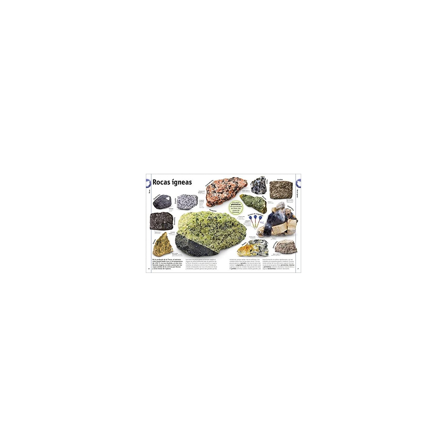 El libro de las rocas y los minerales... y otros tesoros del mundo natural