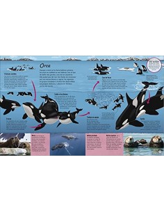 La vida del agua: El recurso natural más importante de la Tierra 2