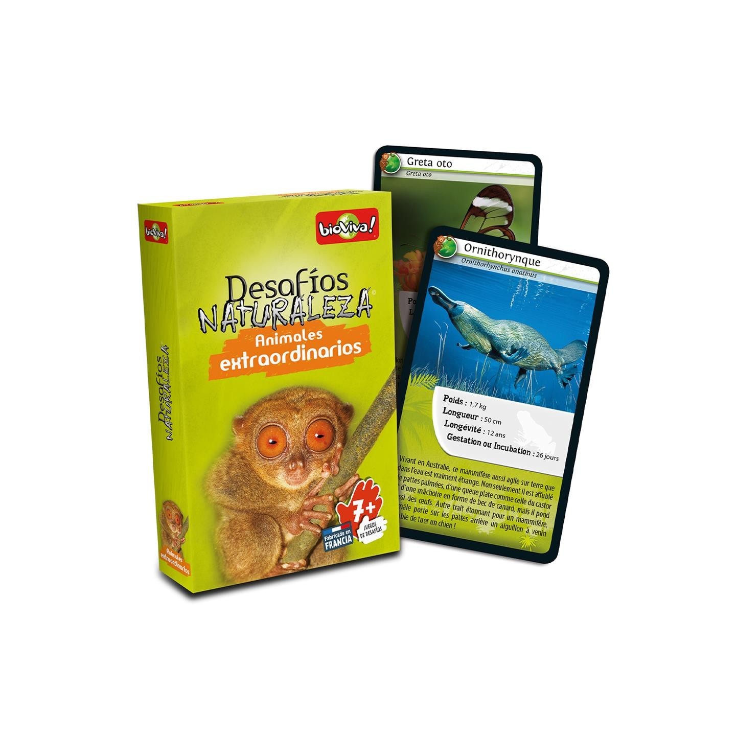 Cartas Desafíos Naturaleza: Animales Extraordinarios