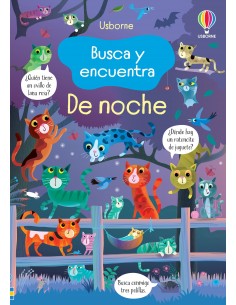 Busca y Encuentra - De Noche