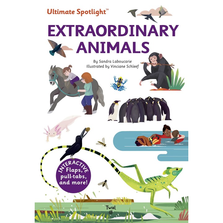 Ultimate Spotlight: Extraordinary Animals