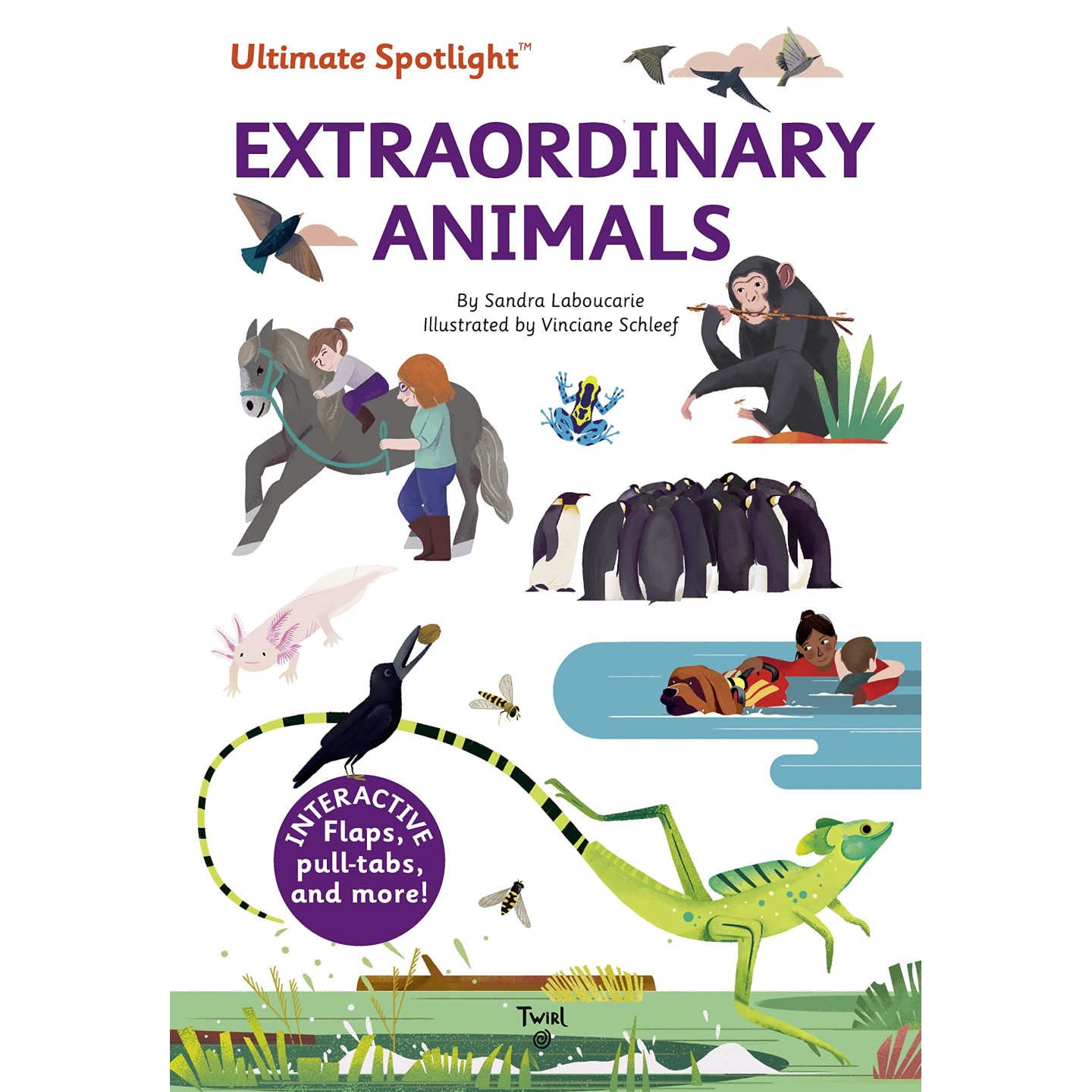 Ultimate Spotlight: Extraordinary Animals