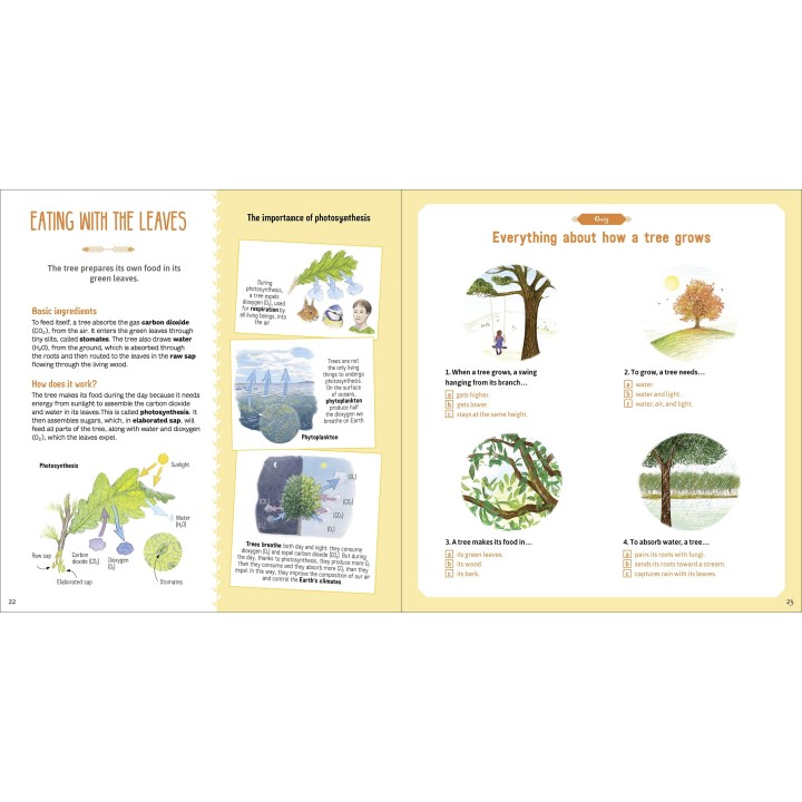 The Book of Amazing Trees