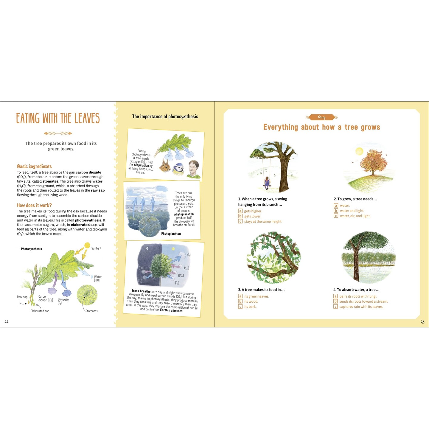 The Book of Amazing Trees