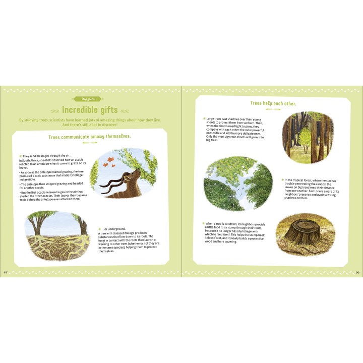 The Book of Amazing Trees