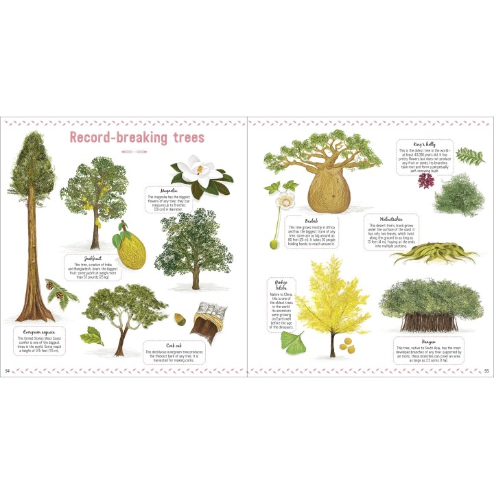 The Book of Amazing Trees